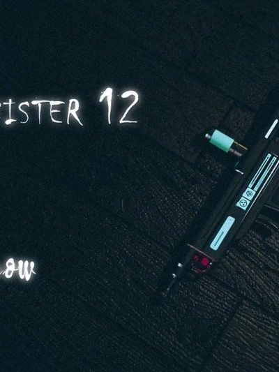 [YTsnow] Little Sister 12