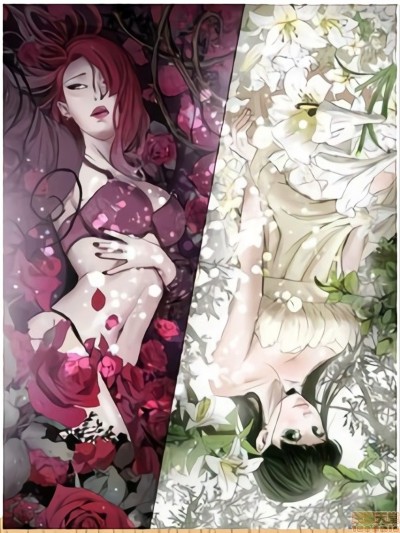 ACE:禁断的诈欺之夜 1+2季全