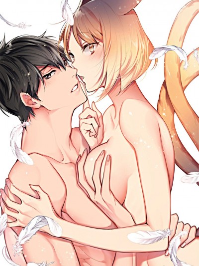 猫又的恋事情/猫又ちゃんの恋事情