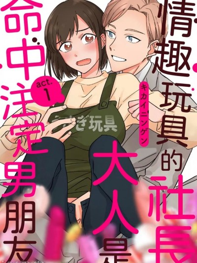情趣玩具的社长大人是命中注定男朋友/イケメン彼氏は大人のおもちゃ屋さん