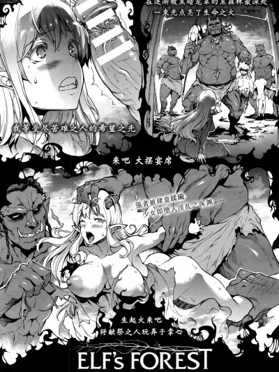 [逃亡者×真不可视汉化组] [エレクトさわる] Elf’s Forest 1-3 [中国翻訳] [DL版]