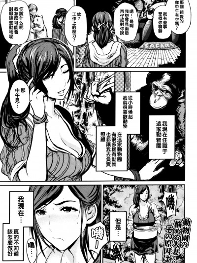 [子门竜士郎] 妇人饲育。～ボノボ×人妻～ (獣DIRECT 4) [中国翻訳]