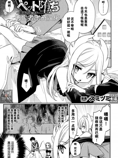 [逃亡者×真不可视汉化组] [スミヅミ] ペット堕ち～孤高のエルフ～ (くっ杀ヒロインズ Vol.33) [中国翻訳] [DL版]