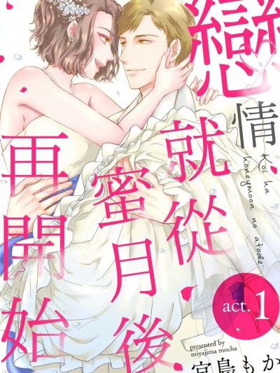 恋情就从蜜月后再开始 [ 宫岛もか] 恋はハネムーンのあとで