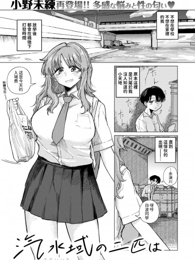 [小野未练] 汽水域の二匹は (コミックゼロス #111) [中国翻訳] [DL版]