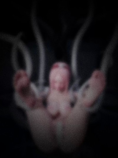 [ddk00] 蛇之僕·樱 番外洗脑改造篇